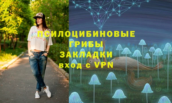 спайс Аркадак