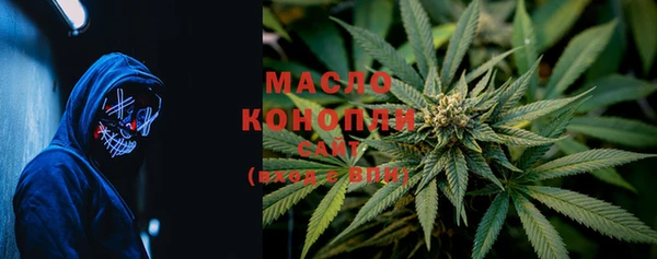 индика Армянск