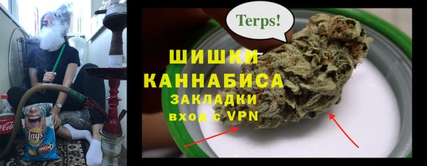 индика Армянск