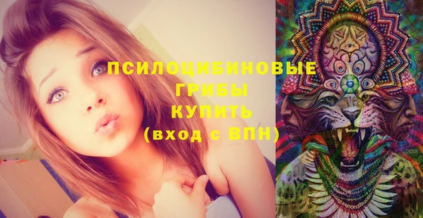 индика Армянск