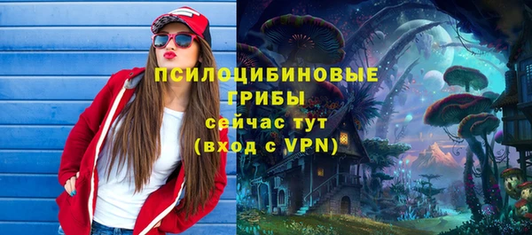 индика Армянск