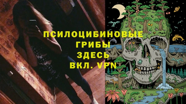 индика Армянск