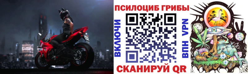 продажа наркотиков  Прохладный  Псилоцибиновые грибы Magic Shrooms 